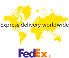 Fedex Logo